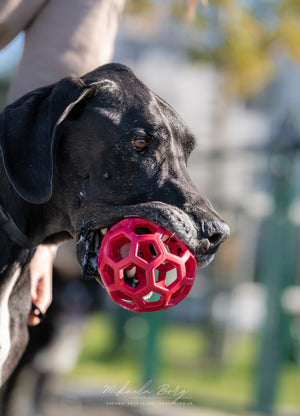 Hol - ee Roller boll